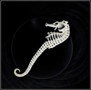Seahorse Skeleton